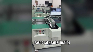 Roll-to-Roll CCD Hole Punching Machine